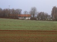 IMG 0539