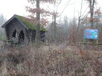 IMG 0597